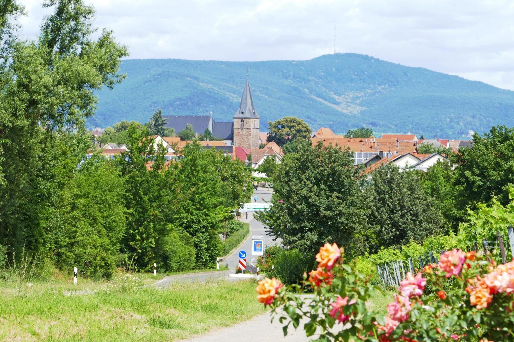 Hotel Garni Sebastian Kirrweiler  Buitenkant foto