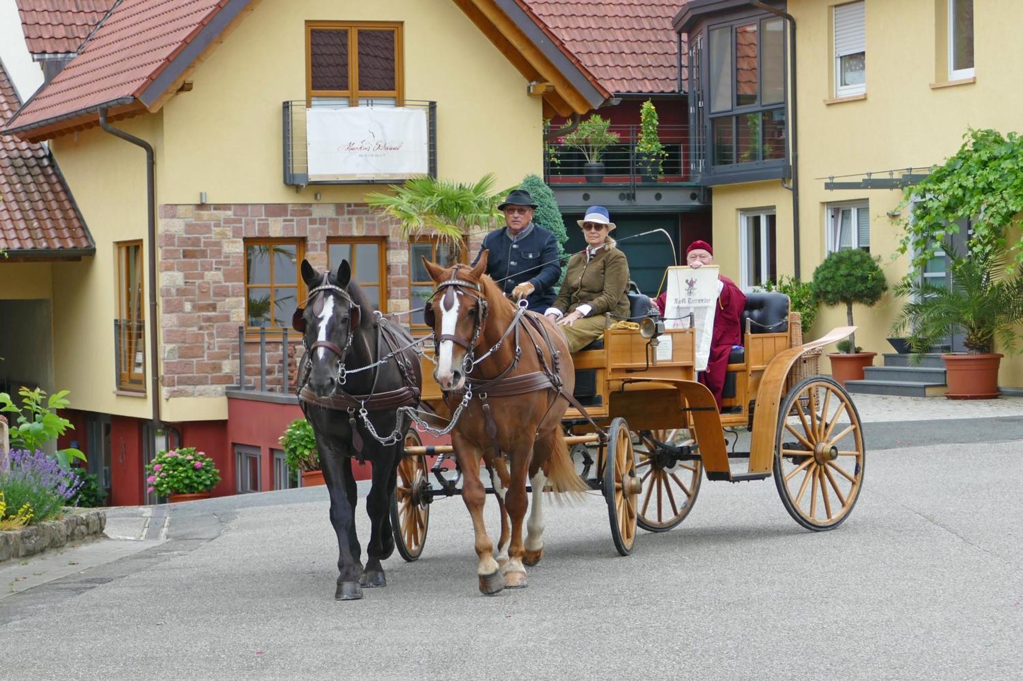 Hotel Garni Sebastian Kirrweiler  Buitenkant foto
